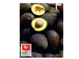 Avocat – variété Hass, catégorie 1