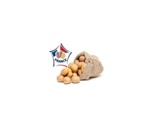 Pommes de terre – Filet de 10 Kg – Origine France
