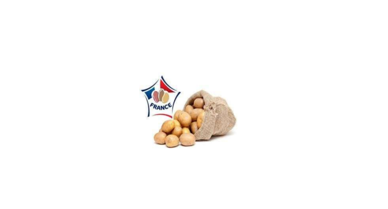 Pommes de terre – Filet de 10 Kg – Origine France