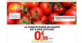 Tomates rondes en grappe – Catégorie 1