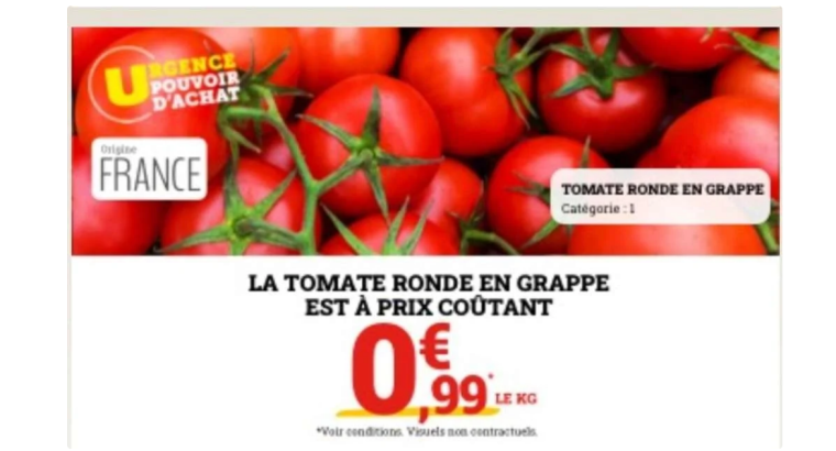 Tomates rondes en grappe – Catégorie 1