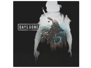 Days Gone sur PC