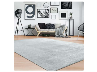 35 % de réduction : Paco Home Tapis de salon unicolore lavable – 120 × 170 cm