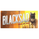 Blacksad : Under the Skin