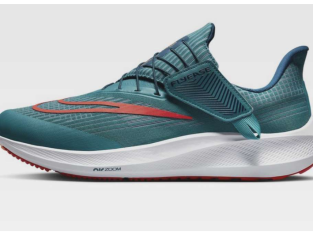 50 % de remise : Nike Performance Chaussures de running Air Zoom Pegasus 39 Flyease