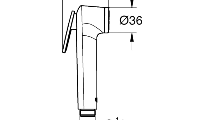 GROHE Pommeau de douche Vitali chromé (Import Allemagne)