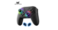 Manette pour Nintendo Switch sans fil DATA FROG