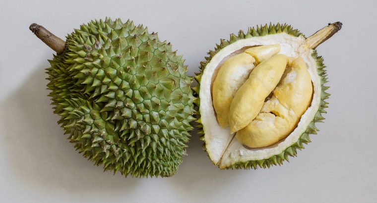 Le durian ?