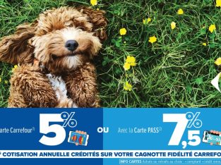 Jusqu’à 7,5% reversés sur votre Cagnotte Fidélité Carrefour !