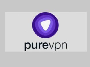 Purevp: Profitez de 83% de RABAIS + Boîte à mystère ! et 3 mois supplémentaires sur le plan de 2 ans