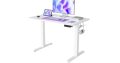 FEZIBO :Bureau Assis Debout Électrique, 100 x 60 cm Bureau Table Debout Réglable en Hauteur Acier T