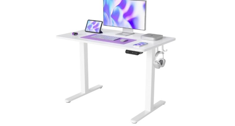 FEZIBO :Bureau Assis Debout Électrique, 100 x 60 cm Bureau Table Debout Réglable en Hauteur Acier T