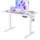 FEZIBO :Bureau Assis Debout Électrique, 100 x 60 cm Bureau Table Debout Réglable en Hauteur Acier T