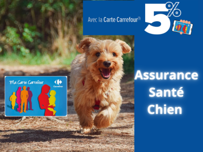 Avec la carte Carrefour, bénéficiez de 5% de réduction sur l’assurance Santé Chien!