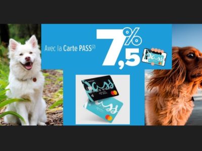 Obtenez Jusqu’à 7,5% avec la carte PASS Carrefour -Assurance Santé Chien Chat-