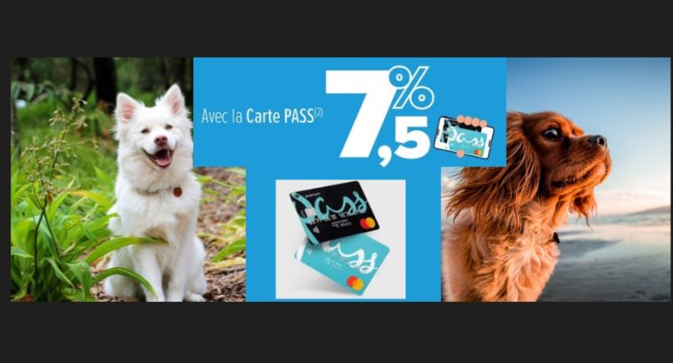 Obtenez Jusqu’à 7,5% avec la carte PASS Carrefour -Assurance Santé Chien Chat-