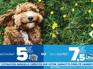 Assurance CHIEN : Jusqu’à 7,5% reversés sur votre Cagnotte Fidélité Carrefour !