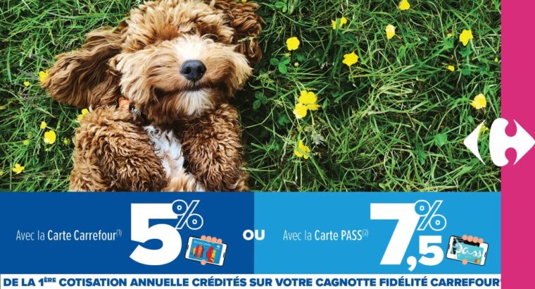 Assurance CHIEN : Jusqu’à 7,5% reversés sur votre Cagnotte Fidélité Carrefour !