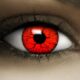 Lentilles Halloween Rouge + Halloween Tattoos, 2pcs 1 Paire – Déguisement en DEVIL STOCK LIMITE