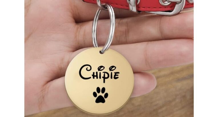 MÉDAILLE D’IDENTIFICATION POUR CHIEN PERSONNALISÉE EN PROMOTION !